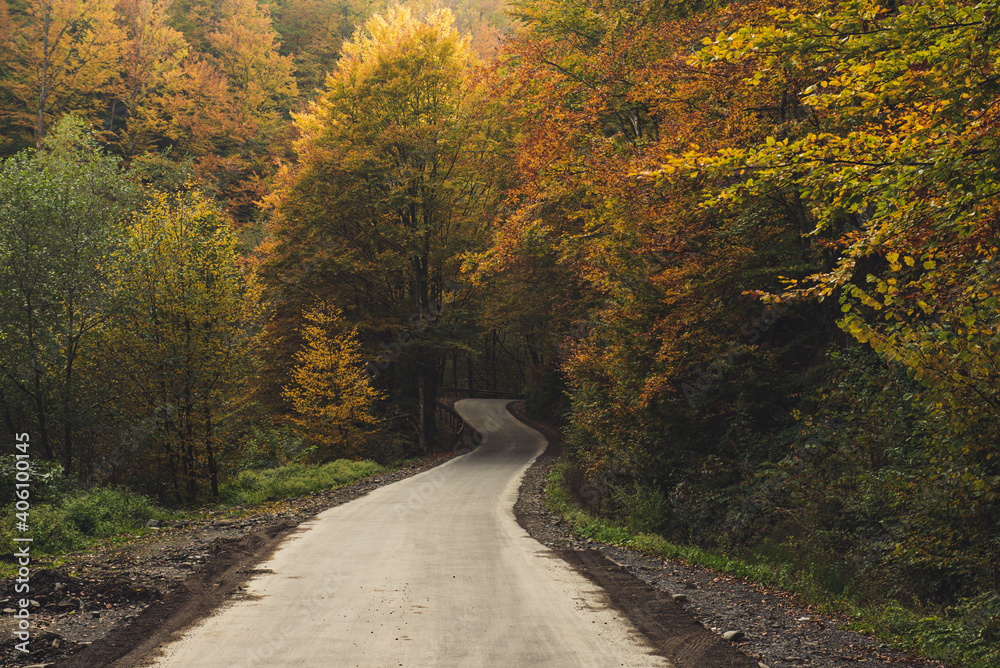 Beautiful autumn landscape