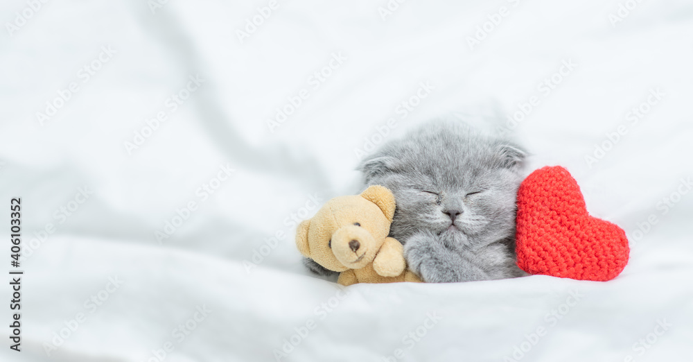 Sleepy kitten lies with red heart on a bed under blanket. Valentines day concept. Top down view. Empty space for text