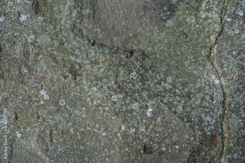 Concrete wall, sand plaster. Scratched and cracked concrete weathered with moss, stone wall