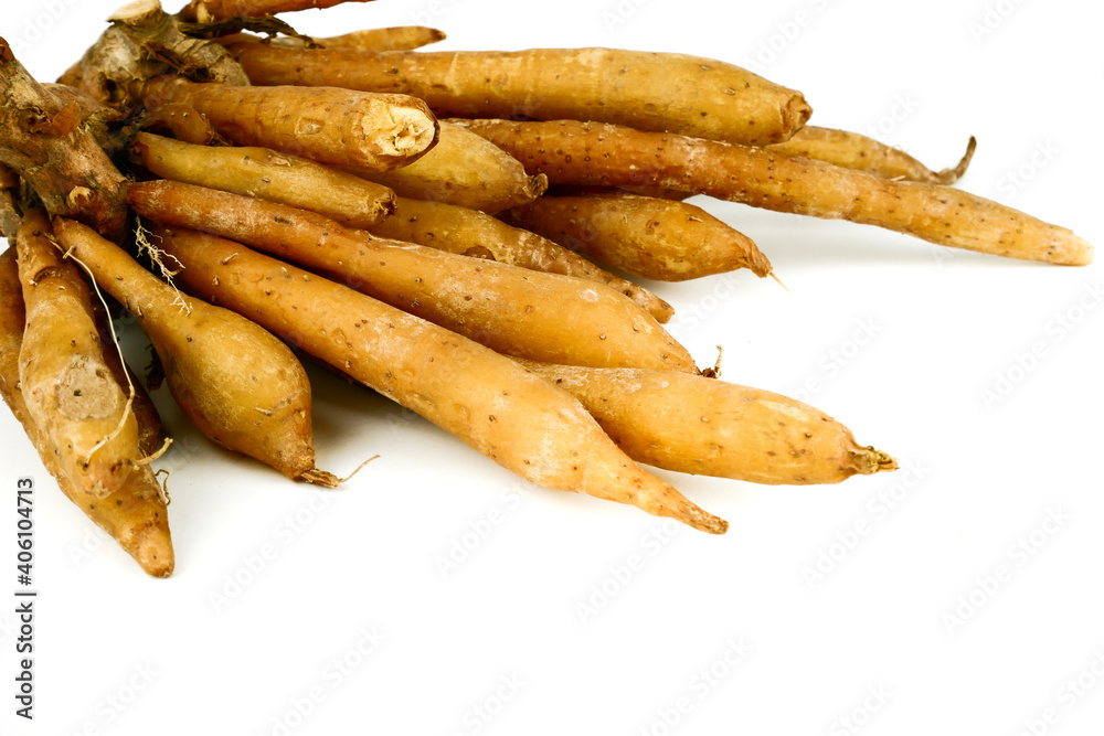 Boesenbergia rotunda, Finger root, Chinese ginger ingredient for cooking Thai cuisine isolated on white background. Herb plant is nutrition for protecting cancer. Boesenbergia rotunda, Finger root, Chinese ginger ingredient for cooking Thai cuisine isolated on white background. Herb plant is nutrition for protecting cancer.