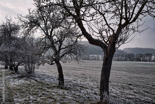 Winterlandschaft

