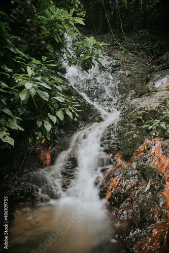 Rainforest waterfall in slow shutter mode.