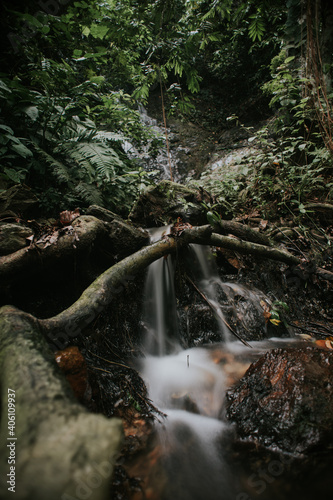 Rainforest waterfall in slow shutter mode.