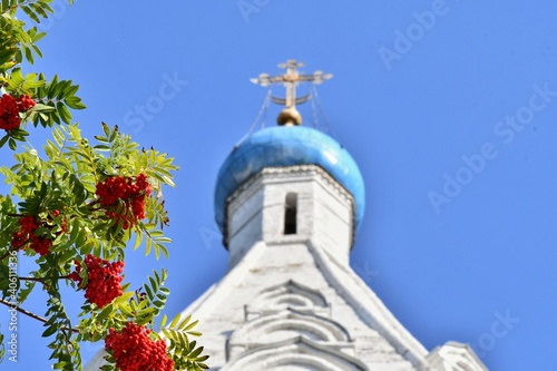 Orthodox church with blue dome in summer and rowan tree with ashberries in front, Kolomna