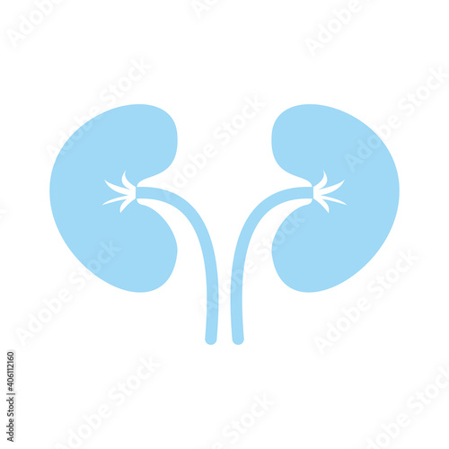 Kidneys vector icon isolated on white background