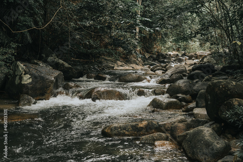 Amazing view of the rain forest stream.Vintage filter and artificial grain effects.