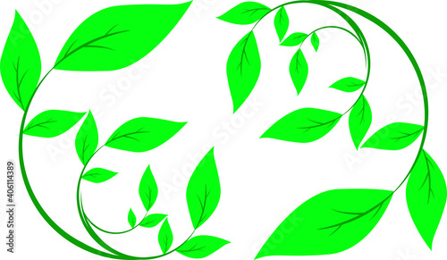 綺麗な形に曲がった葉っぱ