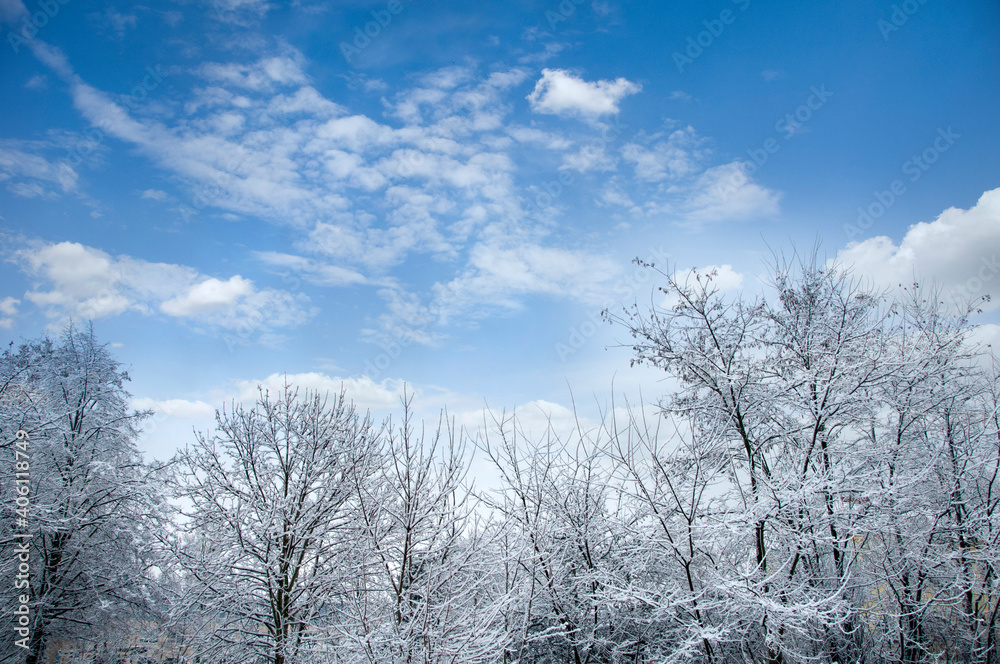 beautiful winter landscape with snow, trees and cloudy sky beautiful winter landscape with snow, trees and cloudy sky