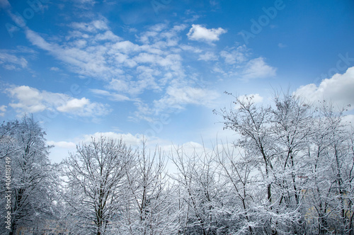 beautiful winter landscape with snow, trees and cloudy sky