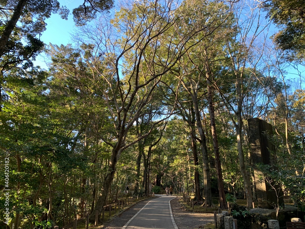 成田山公園内の景色