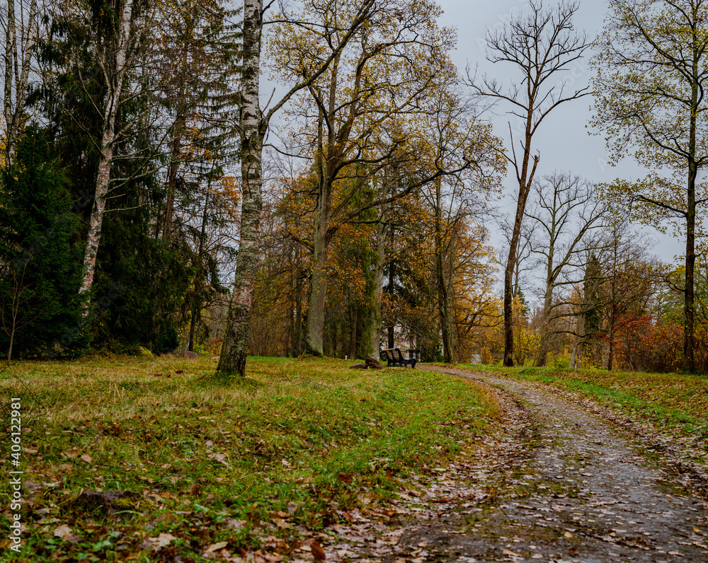 Fototapeta premium Dirt road in the autumn forest