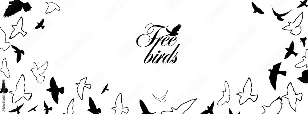 Fototapeta premium A flock of flying birds. Horizontal frame for your text with the birds. Vector illustration