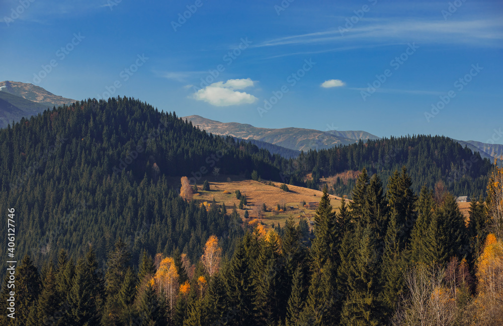  the autumn mountains and forest under the blue sky