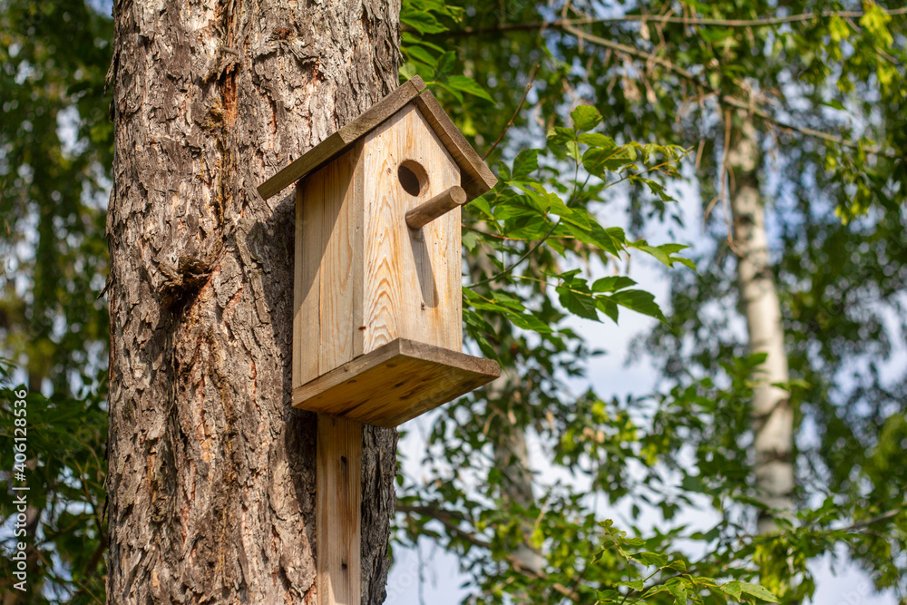 Wooden birdhouse on a tree in the park.