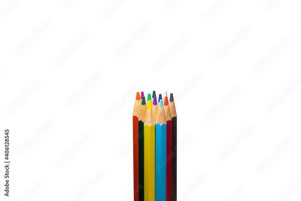 Fototapeta premium 12 PCs colored coloring pens standing side by side