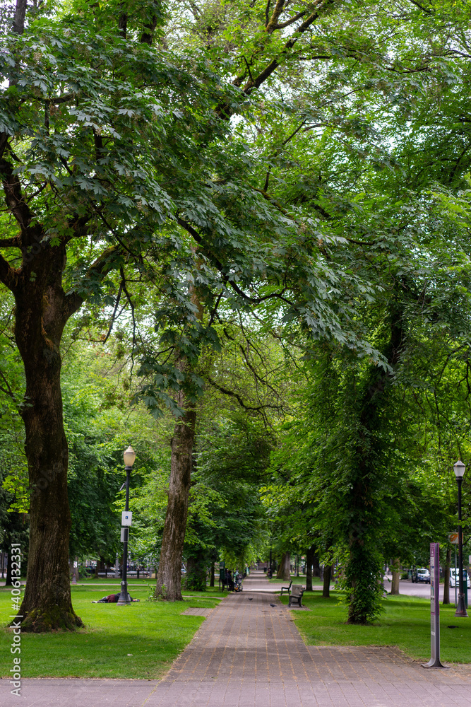 alley in the park alley in the park