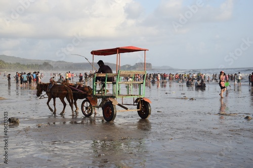 people on the beach