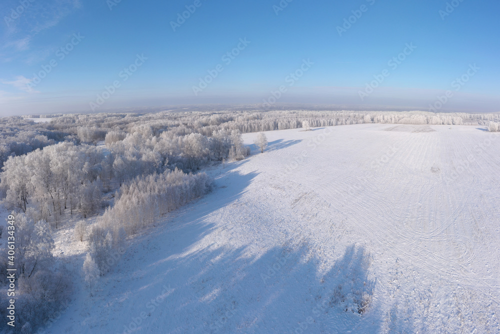 Aerial Pano Little Planet.  Winter Field and Snow White Forest Covered With Hoarfrost.