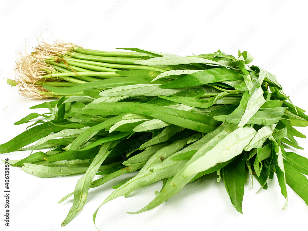 Fototapeta premium Water spinach, Kang Kong, Morning Glory, Water Convolvulus (Ipomoea aquatica) isolated on white background