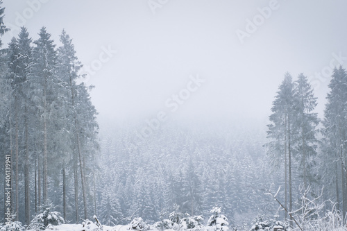 Waldlanschaft im Winter © eugensalzmann