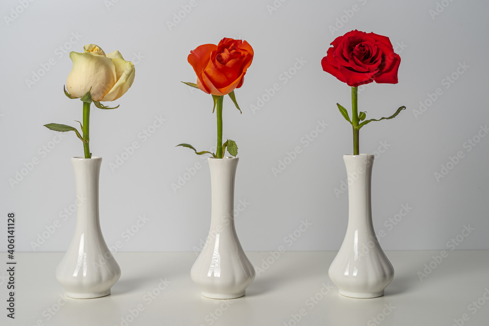 Three identical white vases with red, orange and white roses Three identical white vases with red, orange and white roses