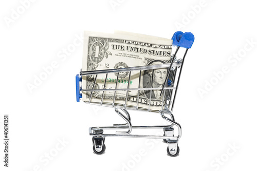 Dollar in the shopping cart.. photo