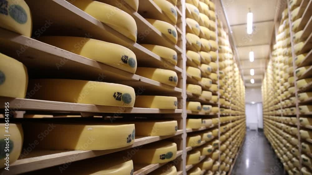 Cave où des fromages ( comtés ) sont disposés sur des planches pour l'affinage. 