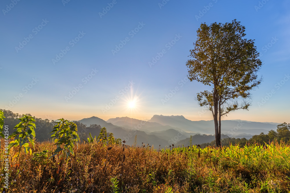 Doi Luang Chiang Dao beautiful mountain,Limestone mountains,Second highest in thai,in chiang mai Thailand,
Doi Luang Chiang Dao beautiful mountain,Limestone mountains,Second highest in thai,in chiang mai Thailand,