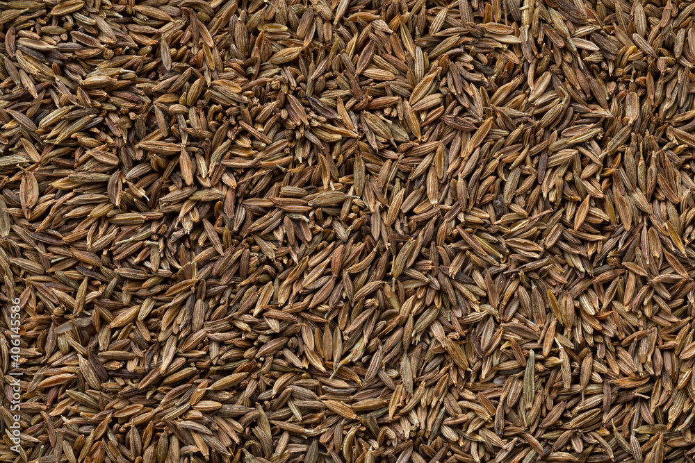 Dried cumin seed close up full frame Dried cumin seed close up full frame