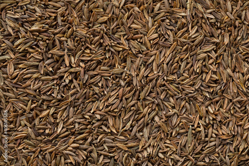 Dried cumin seed close up full frame