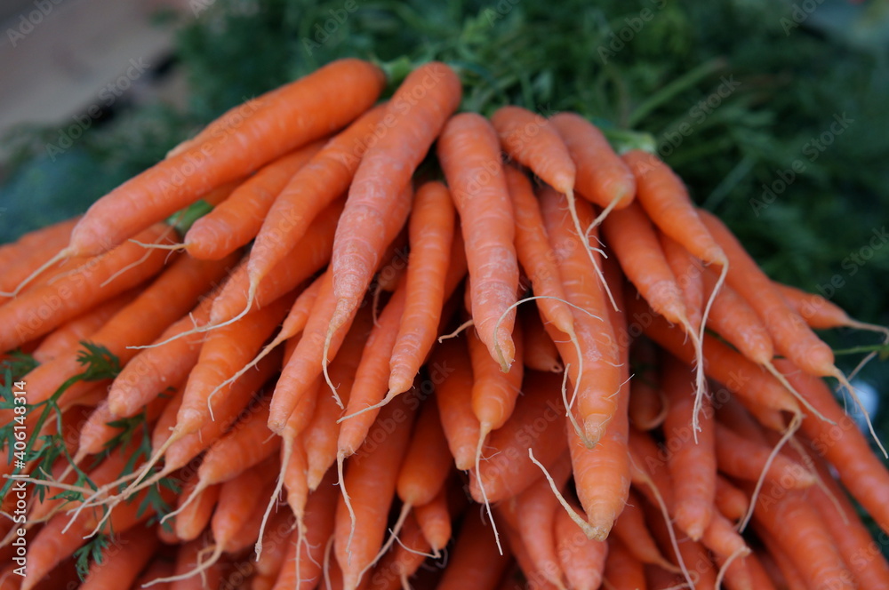 Bund Karotten