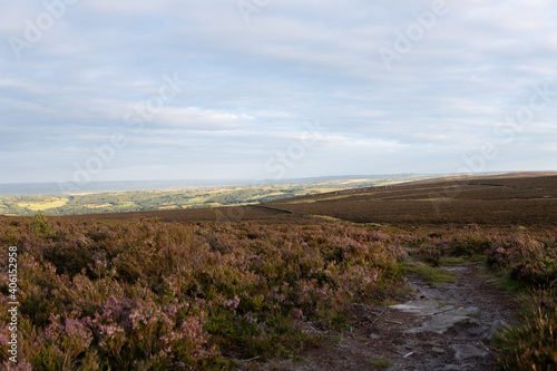 Valley of heather in the peak district path right