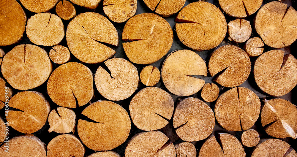 Natural wooden background, wood logs Natural wooden background, wood logs