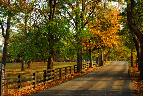 A small country lane travels through colorful autumn foliage