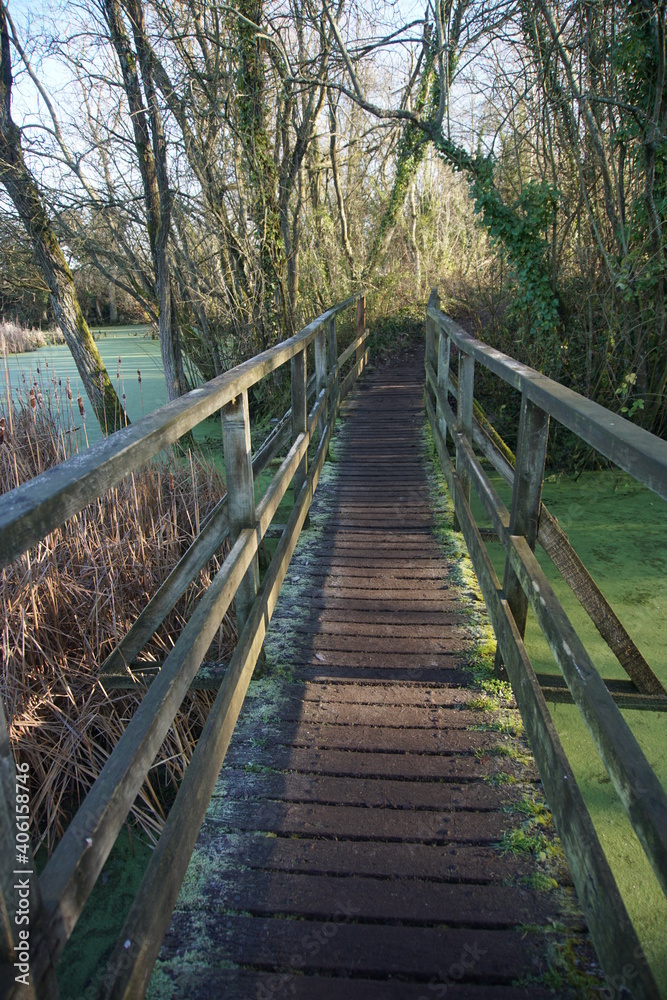 Wooden bridge over the lakes and ponds in Melford Country Park, Suffolk, UK, January 2021