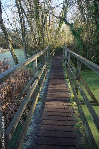 Fototapeta Naklejka Na Ścianę i Meble -  Wooden bridge over the lakes and ponds in Melford Country Park, Suffolk, UK, January 2021