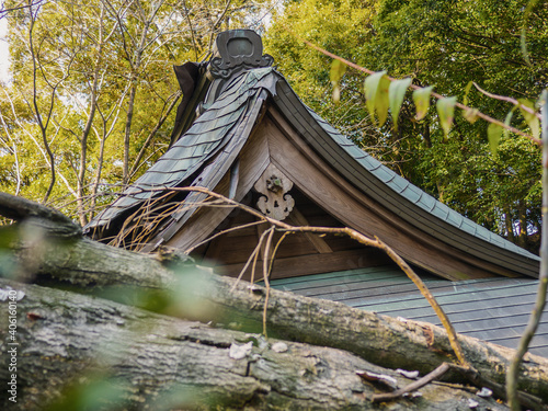 Wallpaper Mural 土砂崩れで倒壊した神社の社殿 Torontodigital.ca