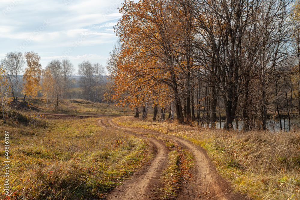 A winding path strewn with fallen leaves, surrounded by trees. The sun's rays illuminate the sparse foliage on the trees.. A winding path strewn with fallen leaves, surrounded by trees. The sun's rays illuminate the sparse foliage on the trees..