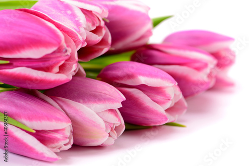 Romantischer Blumenstrau   mit Fr  hlingsblumen und Textfreiraum