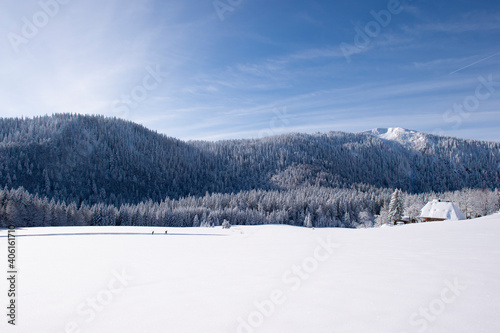 Zwei Langläufer in einer wunderschönen Winterlandschaft © heike114