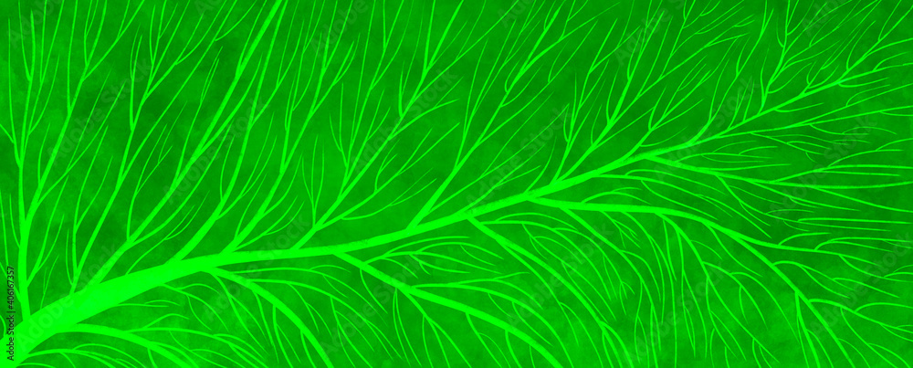eco friendly green bright simple fresh foliage veined background hand drawn. For the design of banners, brochures, leaflets, postcards, etc. eco friendly green bright simple fresh foliage veined background hand drawn. For the design of banners, brochures, leaflets, postcards, etc.