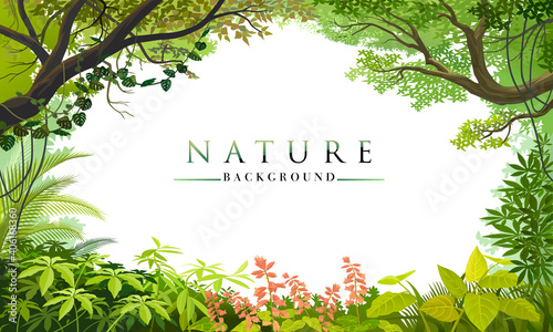 Nature template to write text matter. Plants, leaves, trees and forest