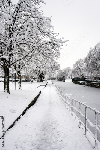 view of trees silhouettes covered by the snow in border frozen river © pixarno