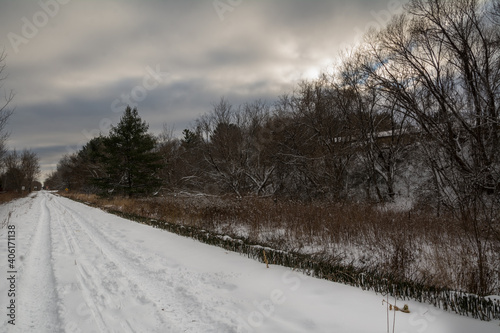 Beautiful Winter Trail