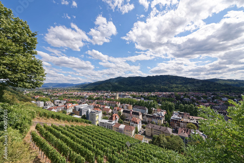 Quadro su tela Freiburg im Breisgau - Freiburg Littenweiler - Schlossbergblick