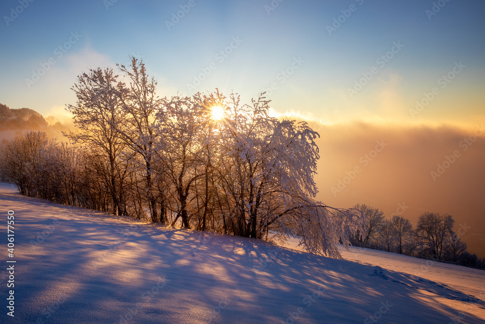 Winter landscape, frozen trees in winter, Mont Salève, Archamps, France