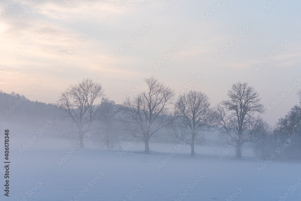 Bäume im Nebel und 'Schnee Bäume im Nebel und 'Schnee