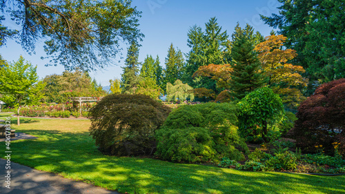 Fototapeta Naklejka Na Ścianę i Meble -  Garden in BC public park
