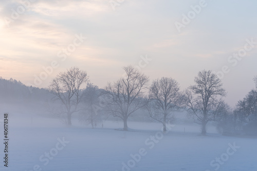 Bäume im Nebel und 'Schnee
