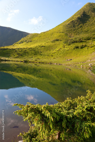 Mountain lake, juniper in the foreground, green summer slope reflected in the water. Ukraine, Carpathians